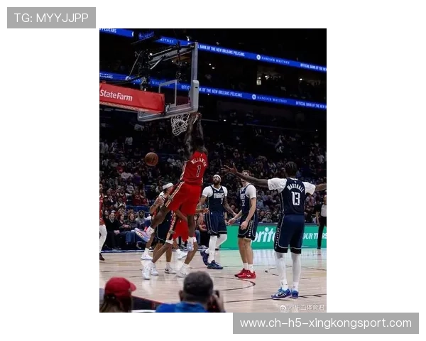 鹈鹕欲冲季后赛行列,全面解读新赛季背后的突破与挑战 鹈鹕欲冲季后赛行列,全面解读新赛季背后的突破与挑战