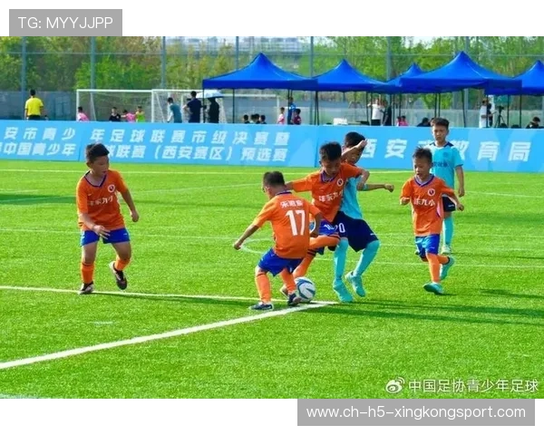 中国足球青训体系国际交流，中国足球青训体系是什么