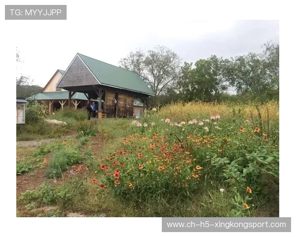 布朗拒绝耐克，运动员与品牌之间的博弈再上新高度，布朗运动知乎